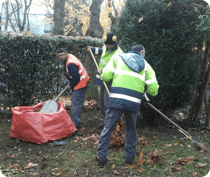 ESAT Espaces verts espaces-verts-image1